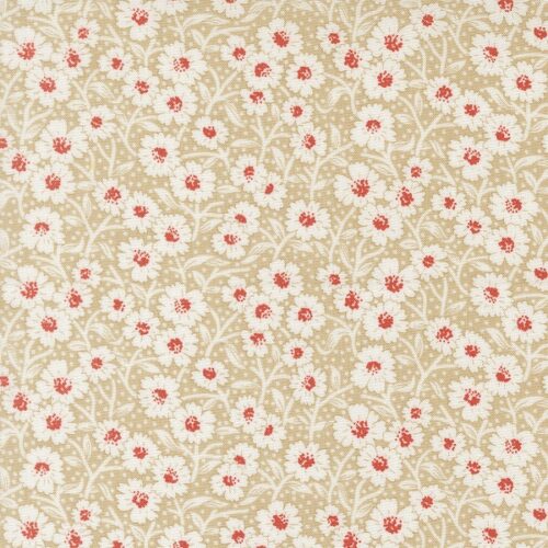 35424 12 Picnic Bloom Garden Path, Rosie by Fig Tree & Co