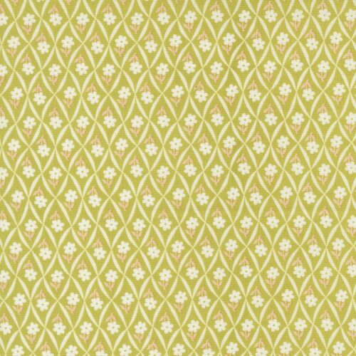 35426 20 Climbing Daisy Green Apple, Rosie by Fig Tree & Co