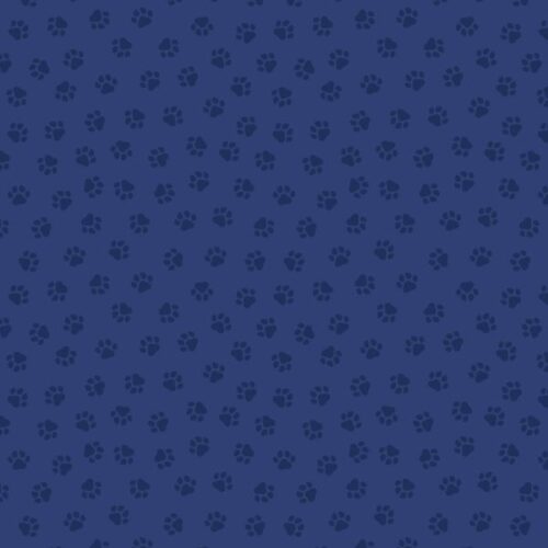 A962C Blue Paws, The Purrfect Book Club by Lewis & Irene