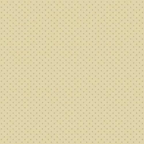 A-10075-L2 Seed Tan, Laundry Line by Edyta Sitar