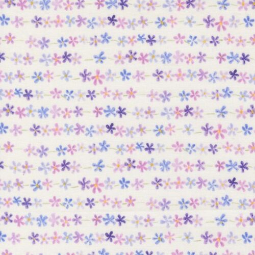 24655 11 Daisy Chain Stripes on Snowdrop, Delphinium by Janet Clare