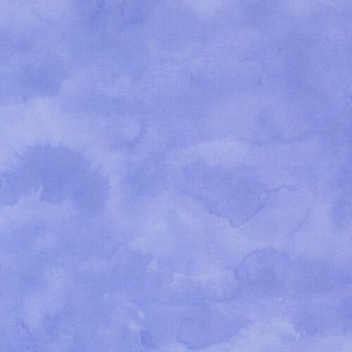 24660 13 Shaded Solid Bluebell, Delphinium by Janet Clare