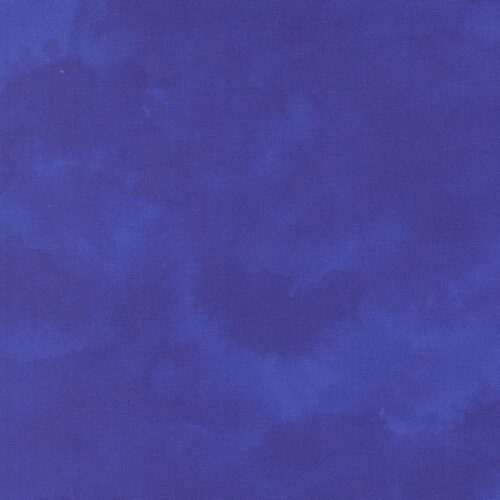 24660 14 Shaded Solid Agapanthus, Delphinium by Janet Clare