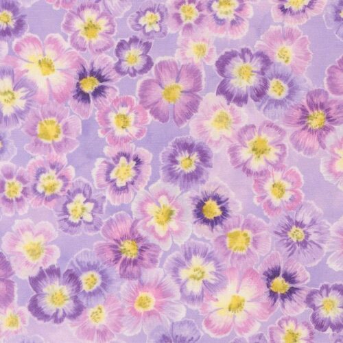 265017 Delphinium Mauve, Delphinium by Janet Clare