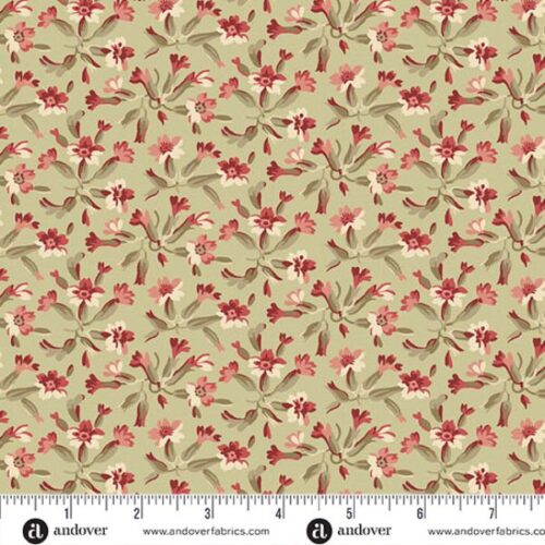 10055-VE Tuberose Celery Root, Forest Glen by Renee Nanneman