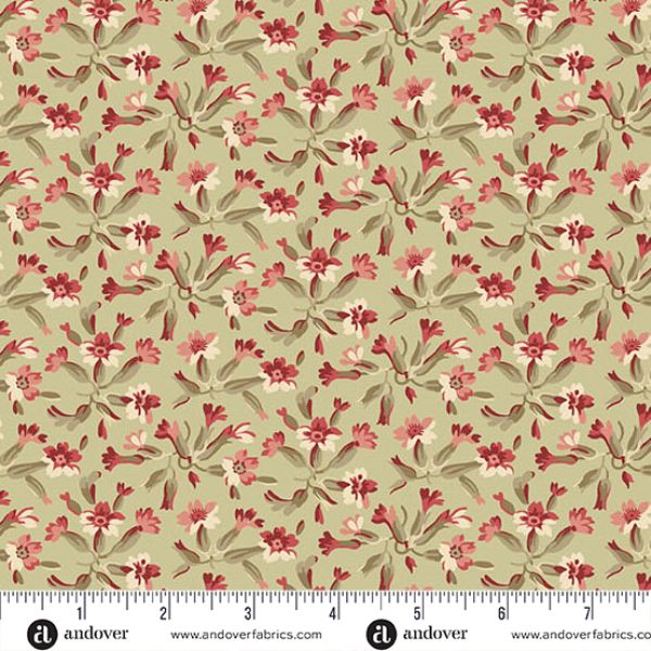 10055-VE Tuberose Celery Root, Forest Glen by Renee Nanneman