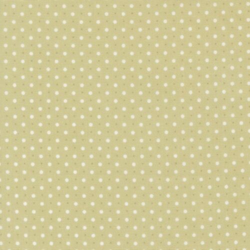 18795 15 Dots Light Green, Abide by Brenda Riddle Designs