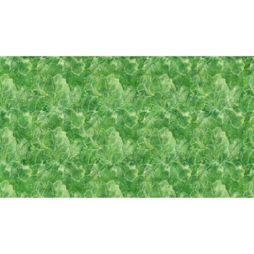 DP28615-76 Infatuation, by Deborah Edwards and Melanie Samra