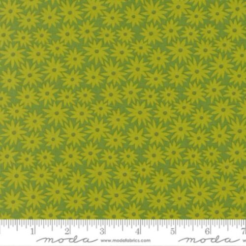 51270 14 Sedum Limeade, Scenery by Elizabeth Hartman