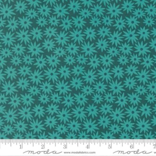 51270 17 Sedum Dark Teal, Scenery by Elizabeth Hartman