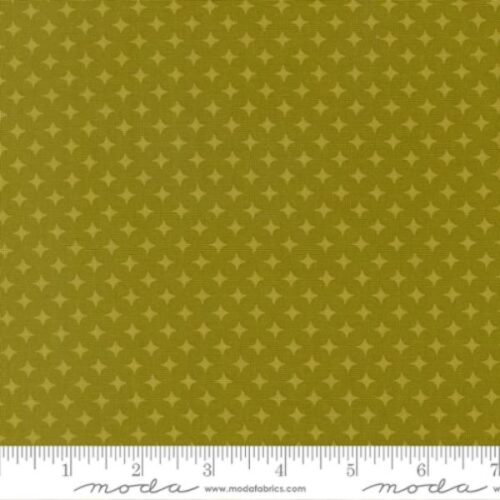 51275 14 Diamonds Kelp, Scenery by Elizabeth Hartman