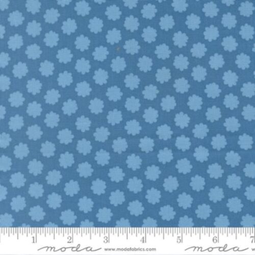 51276 15 Puffball Coastal, Scenery by Elizabeth Hartman