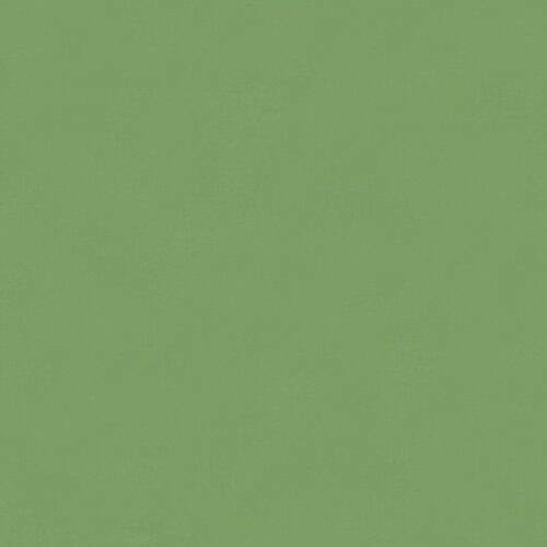 9900 465 Meadow Bella Solids by Moda