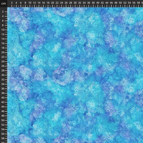 DP28880-44, Coral Reef by Deborah Edwards and Melanie Samra