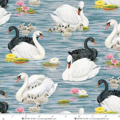 2486-73 BlueMulti, Swan Sanctuary by Rosiland Soloman