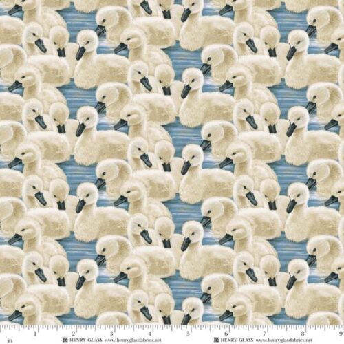 2488-39 Baby Swans, Swan Sanctuary by Rosiland Soloman