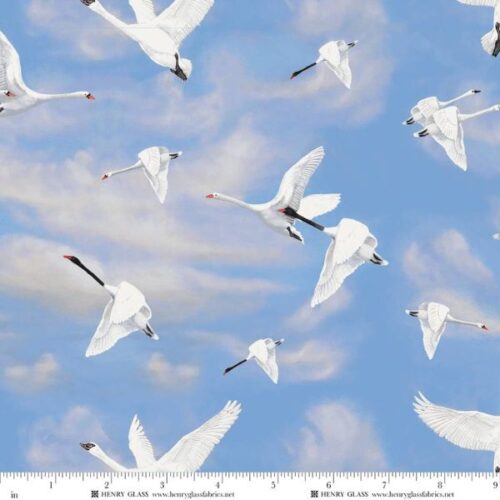 2489-70 Flying Swans, Swan Sanctuary by Rosiland Soloman