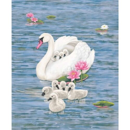 2496P-71 Swan Panel, Swan Sanctuary by Rosiland Soloman