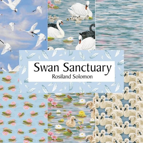 Swan Sanctuary by Rosiland Solomon