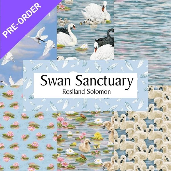 Swan Sanctuary by Rosiland Solomon