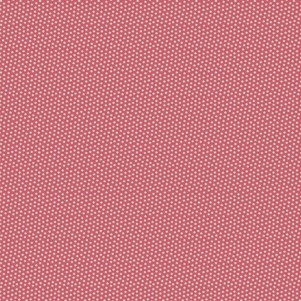 1540_R Dot, Holbrook by Max and Louise