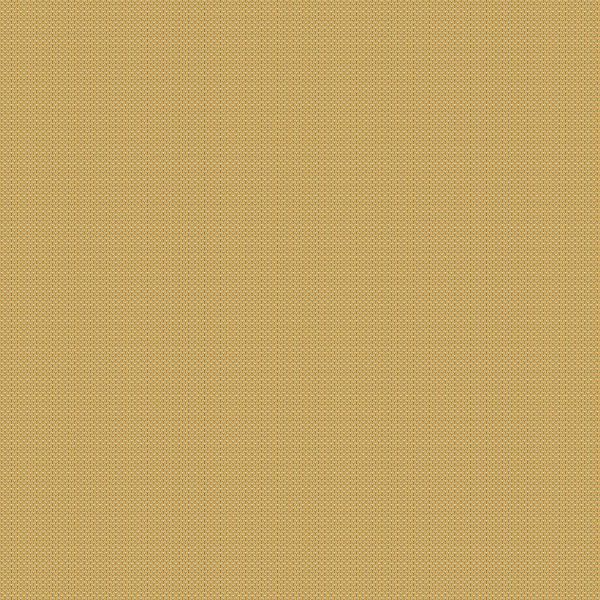 1542_Y Geo, Holbrook by Max and Louise