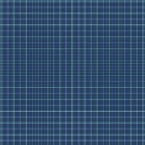 1565_B Plaid, Friday Night by Karen Lewis Textiles