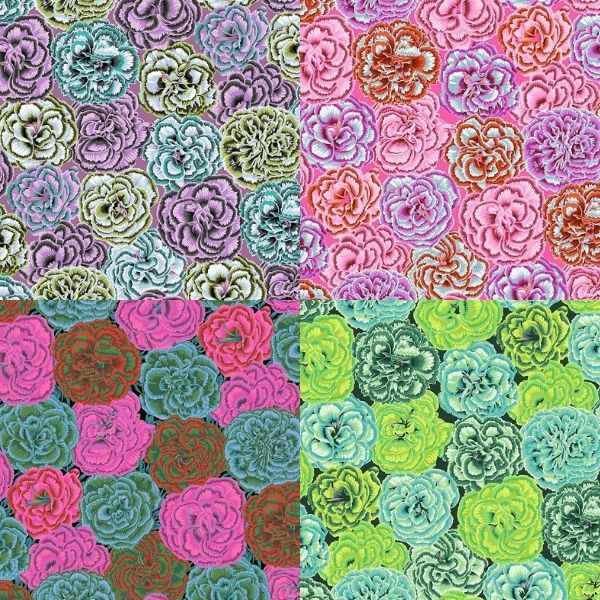 PJ133 Picotee Carnations