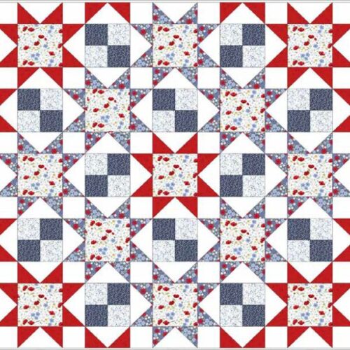 Forever Blooms Quilt Kit 1 by Cassandra Connolly