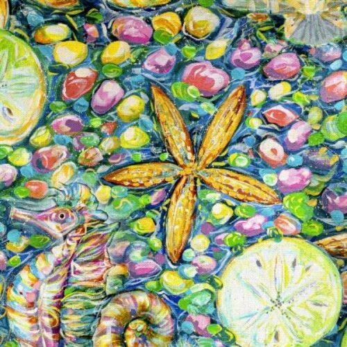 24157-MLT Conchology, Seaside Summer by Estelle Grengs