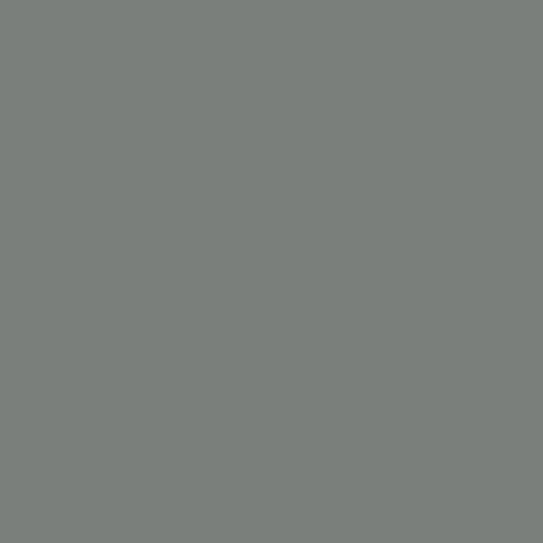 2000S62 Slate Spectrum