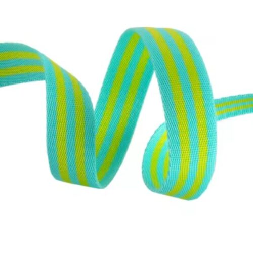 Tula Pink Webbing 2yd x 1in - Lime and Turquoise TKP-91-2Y-COL04