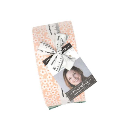 51280JR Popcorn Jelly Roll (40 pieces) by Elizabeth Hartman