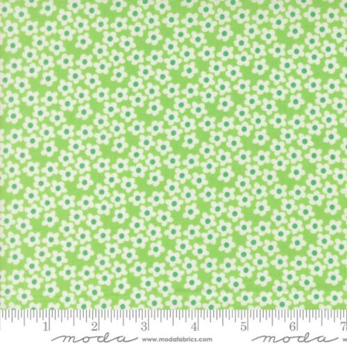 51282 16 Flowers Mint, Popcorn by Elizabeth Hartman