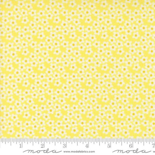 51282 22 Flowers Sunshine, Popcorn by Elizabeth Hartman