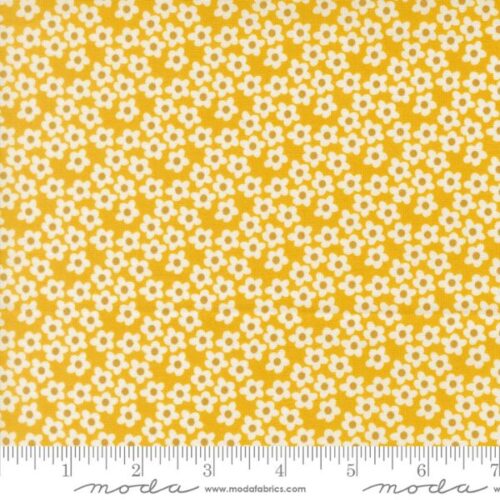 51282 25 Flowers Orange, Popcorn by Elizabeth Hartman