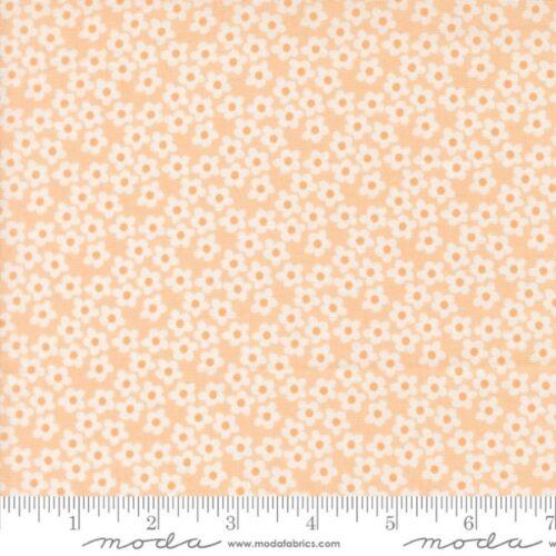 51282 29 Flowers Peach, Popcorn by Elizabeth Hartman