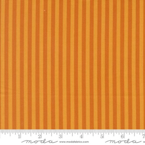 51283 20 Stripe Longhorn, Popcorn by Elizabeth Hartman