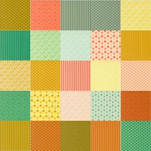 Popcorn Fat Quarter Pack (25 pieces) by Elizabeth Hartman (Cut in House)