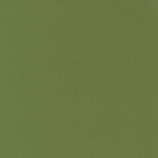 9900 175 Terrain Cactus, Bella Solids by Moda