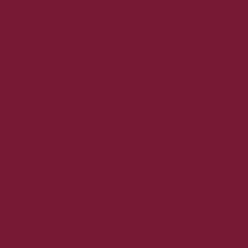 CSFSESS.Cherry Tula Pink Solids