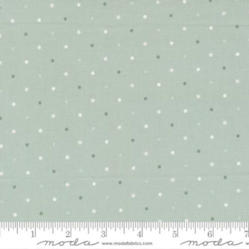 108026 64 108 Magic Dot Robins Egg by Moda