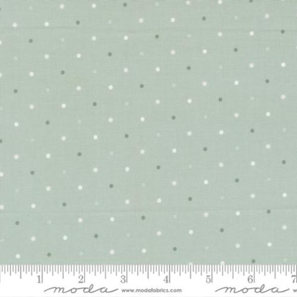 108026 64 108 Magic Dot Robins Egg by Moda