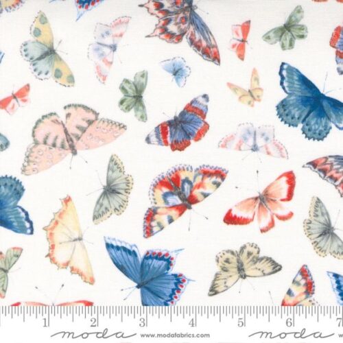 24680 11 Kaleidoscope Butterfly, Flutterby by Janet Clare