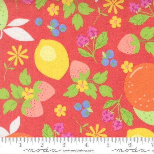 29240 12 Fruit Salad Flamingo, Fruit Salad by Corey Yoder of Coriander Quilts