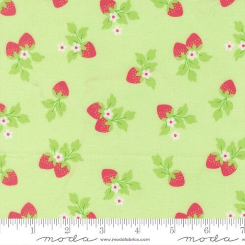 29243 20 Strawberries Melon, Fruit Salad by Corey Yoder of Coriander Quilts