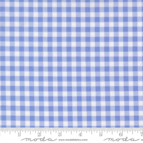 29245 23 Gingham Check Light Blue, Fruit Salad by Corey Yoder of Coriander Quilts