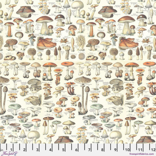 PWTH236.COrange Toadstools, Palette Curated by Tim Holtz
