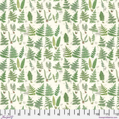 PWTH265.CGreen Ferns, Palette Curated by Tim Holtz
