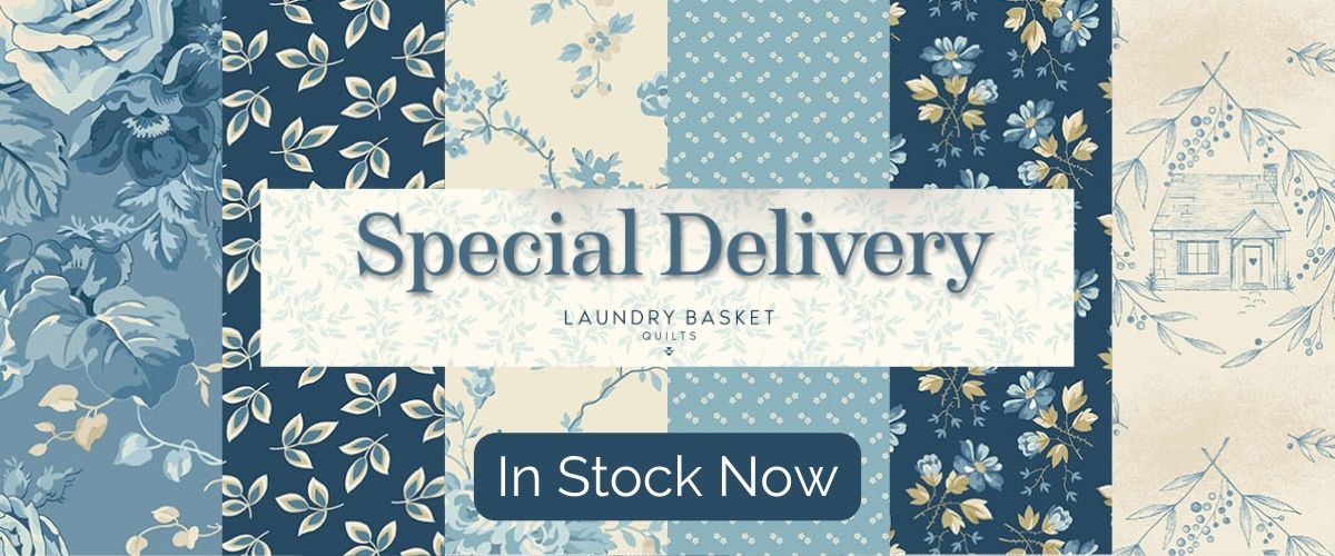 Special Delivery by Edyta Sitar Banner